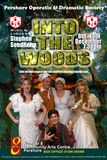 Into the Woods Poster PODS Dec 2008